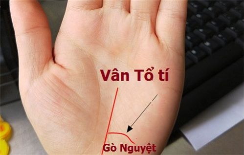 Đường vân Tổ Tý