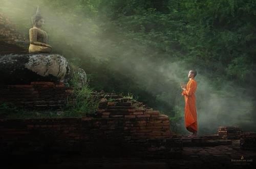Phật dạy rằng, mất bình tĩnh chính là phá hủy công đức.