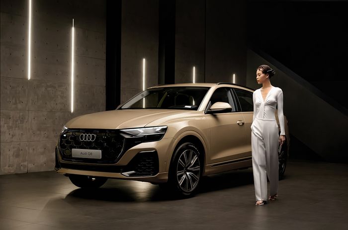 11-11 AUDI Q80844.jpg