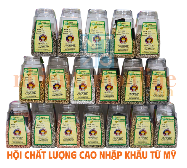 Hội đúc nữ trang