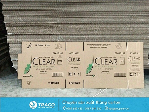 Hộp Carton đựng dầu gội