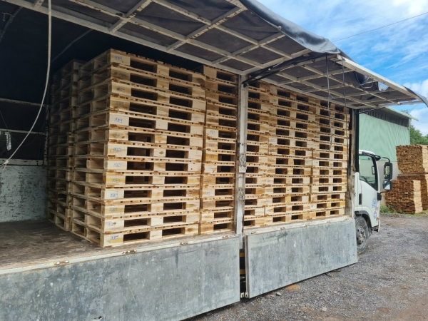 Pallet gỗ