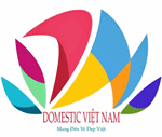 Chi Nhánh - Công Ty TNHH Domestic Việt Nam