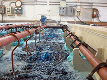 Xử Lý Nước Thiên Long - Công Ty TNHH Công Nghệ Môi Trường Thiên Long