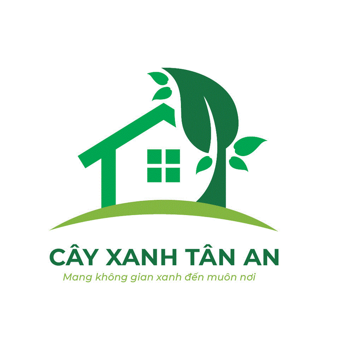 Cây Xanh Tân An - Công Ty TNHH TM Đầu Tư Và Xây Dựng Tân An