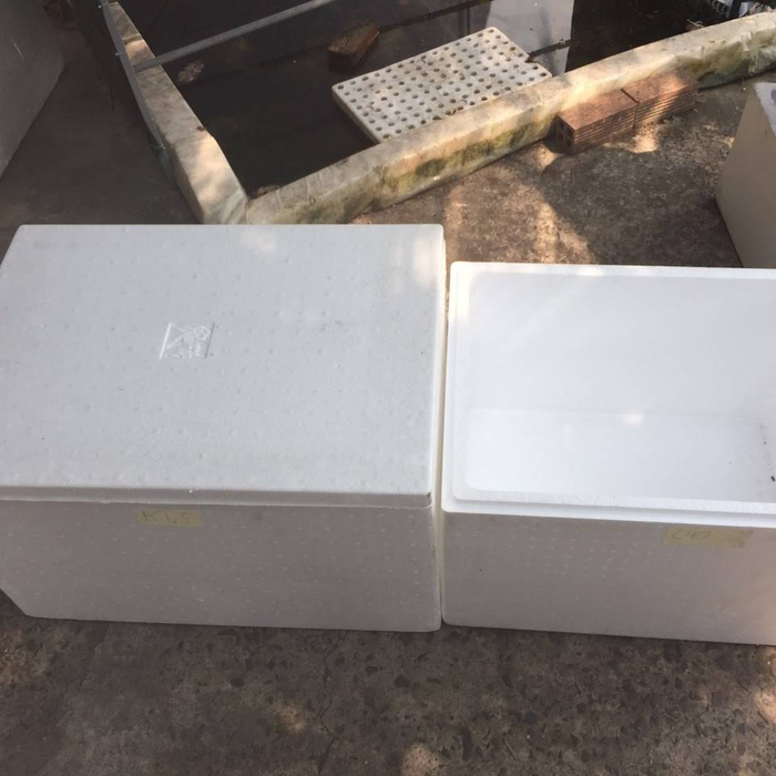 Xốp các loại