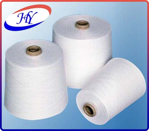 Sợi Polyester