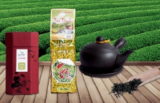 Trà Đinh Anh Trần