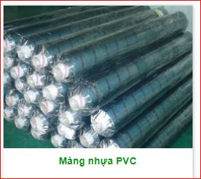 màng pvc