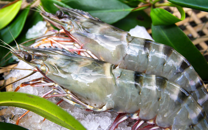 thủy sản
