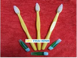 B&agrave;n chải đ&aacute;nh răng