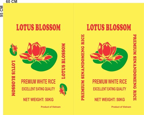 Bao PP đựng gạo