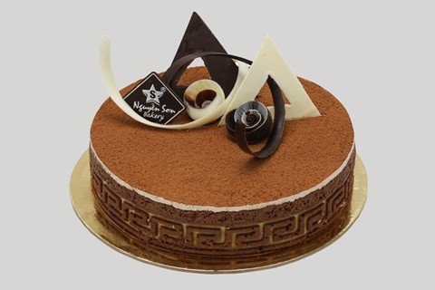 CHOCOLATE AND COCONUT CAKE