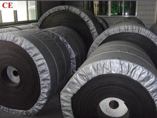 Băng tải Hàn Quốc B800
