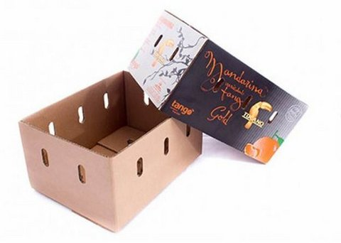 Hộp carton chống thấm, nước