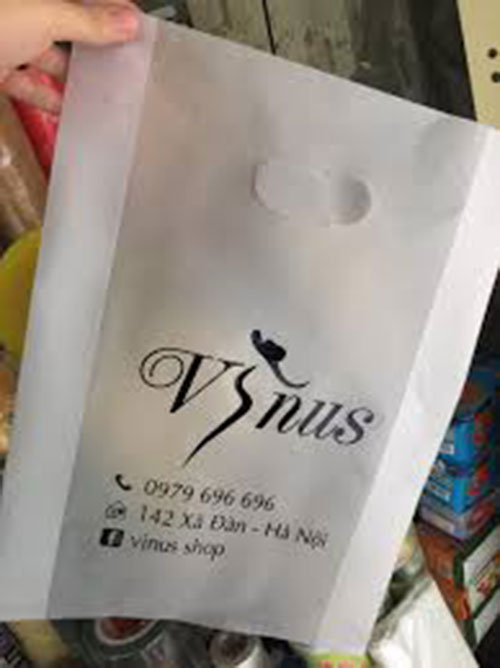 Túi bóng mờ