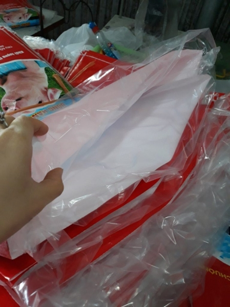 Màng túi PE - HDPE