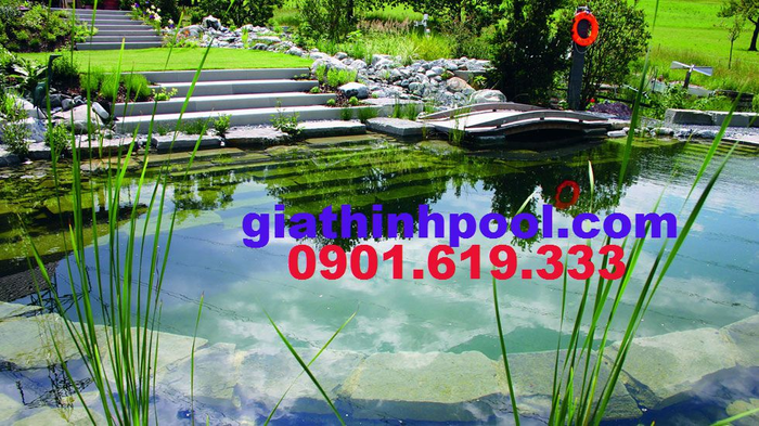 Xây dựng hồ bơi thủy sinh