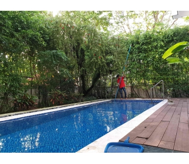 Vệnh sinh hồ bơi