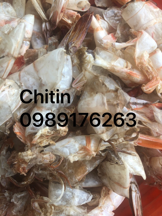 Chitin