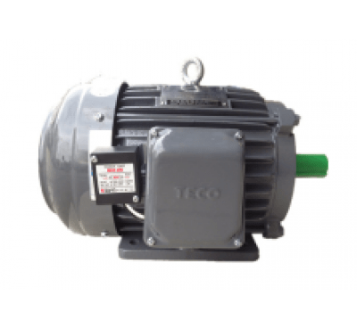 Motor biến tần Teco 3pha – chân đế