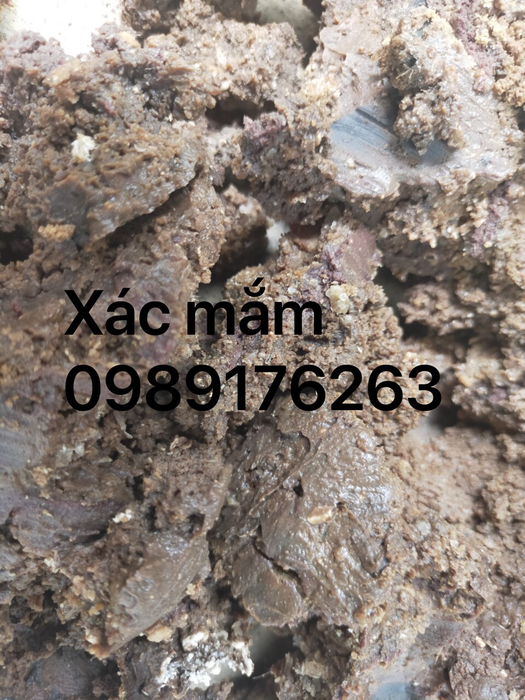 Xác mắm