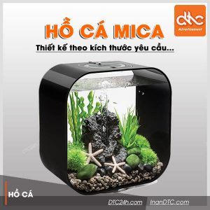 Bể cá mica