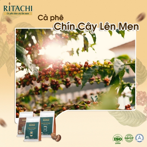 Cà phê rang xay Ritachi Coffee