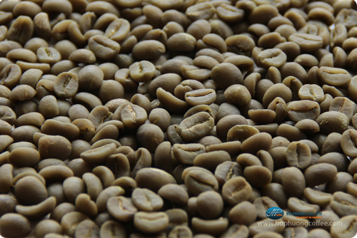 Arabica chế biến ướt