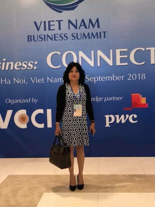 Viet Nam Business Summit 2018