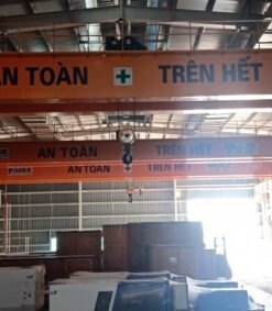 Cầu trục dầm dôi