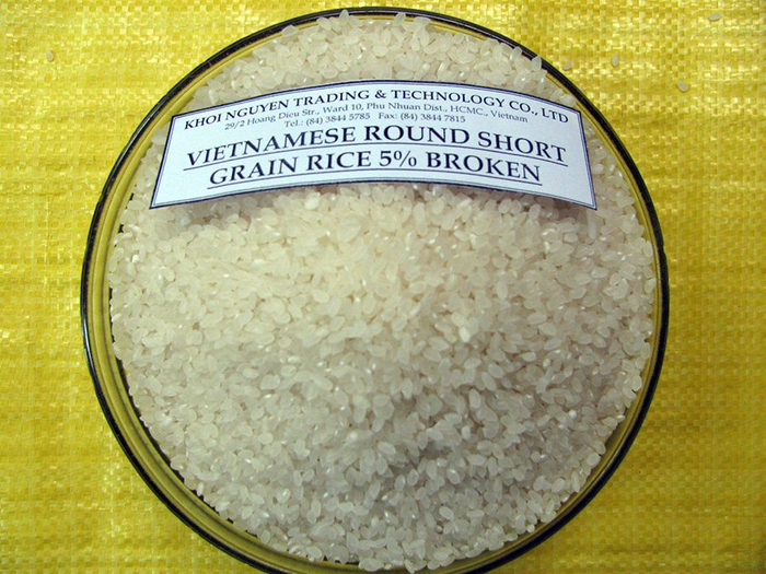 Gạo Japonica VN