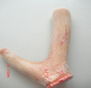 Nhung hươu Hương Sơn