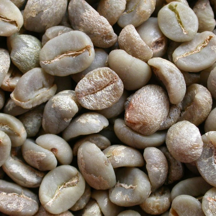 Hạt cà phê Arabica S13