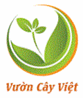 Cây Xanh Dương Gia Phát - Công Ty TNHH Thương Mại Và Đào Tạo Dương Gia Phát