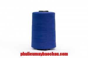 Chỉ Polyester