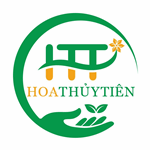 Cây Cảnh Hoa Thủy Tiên - Công Ty TNHH Thương Mại Dịch Vụ - Xuất Nhập Khẩu Hoa Thủy Tiên