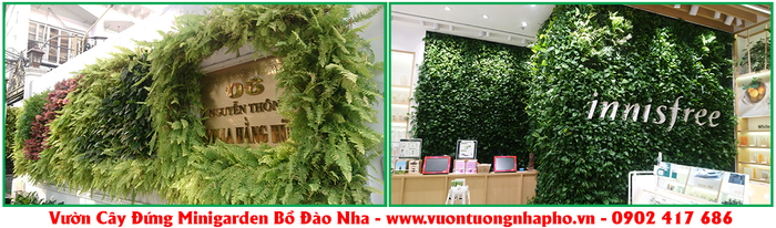 Vườn cây đứng minigarden