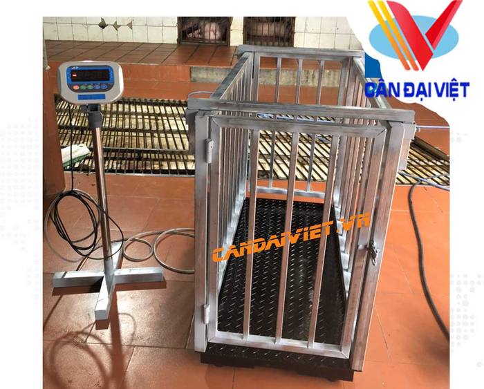 Cân động vật