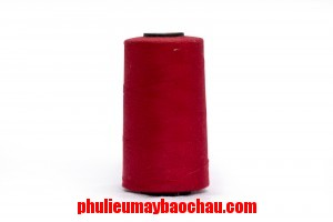 Chỉ Polyester