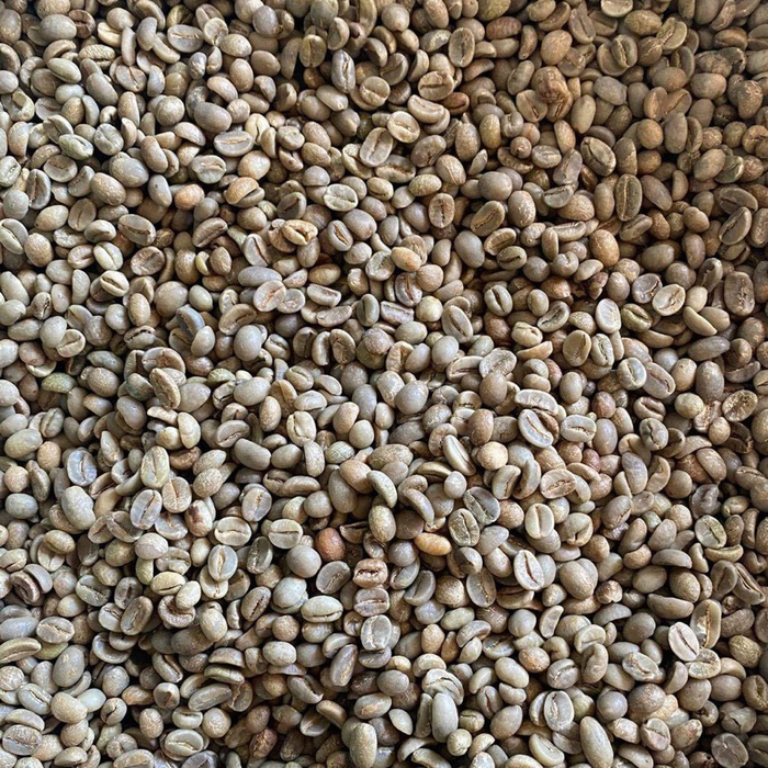 Hạt cà phê Arabica S16