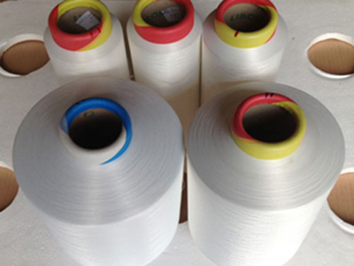 Chỉ may vắt sổ Polyester