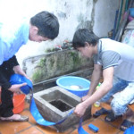 Thau rửa bể nước