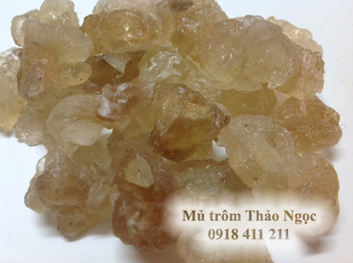 Mủ trôm nguyên chất