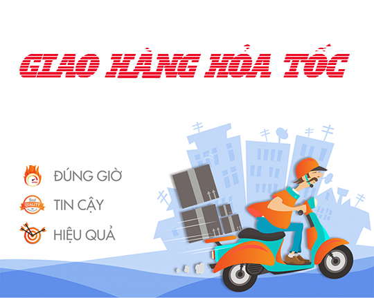 Chuyển phát nhanh trong nước