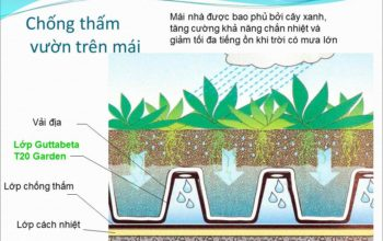 Màng trồng cây trên sân thượng