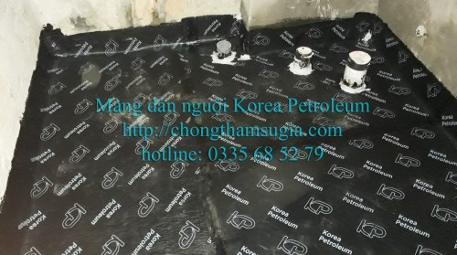 Chống thấm nhà vệ sinh