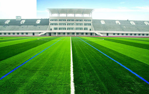 Cung cấp cỏ nhân tạo