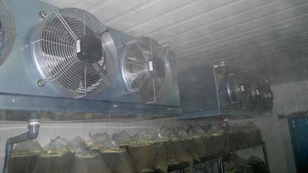 Lắp đặt kho cấp đông