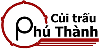 Logo công ty